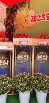 제23회 명품명품사과 품평회 은상 수상 재배를 한 사과